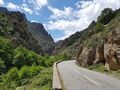 corse 039a